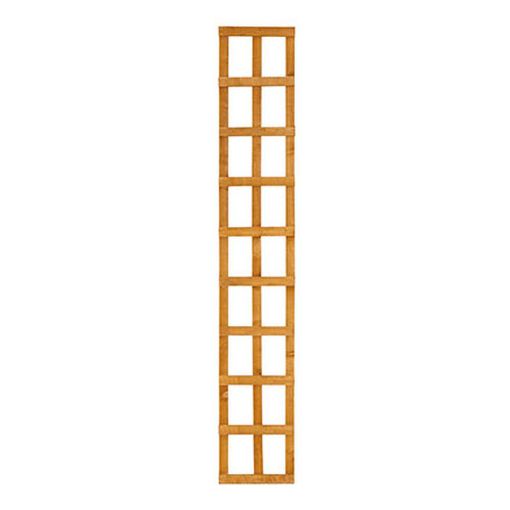 Picture of Forest Heavy Duty Trellis - 183 x 30cm